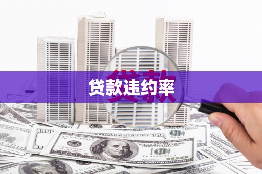 黄石港贷款违约率