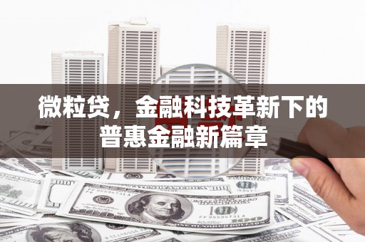 黄石港微粒贷，金融科技革新下的普惠金融新篇章
