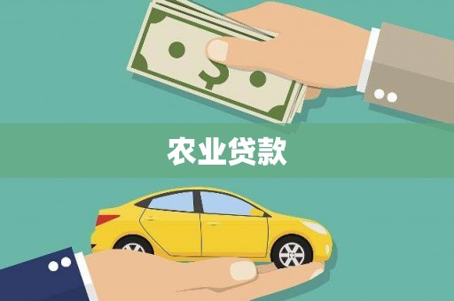 黄石港农业贷款