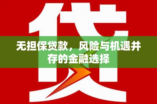 黄石港无担保贷款，风险与机遇并存的金融选择