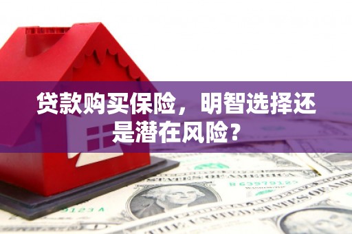 黄石港贷款购买保险，明智选择还是潜在风险？