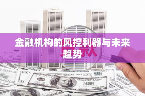 黄石港金融机构的风控利器与未来趋势