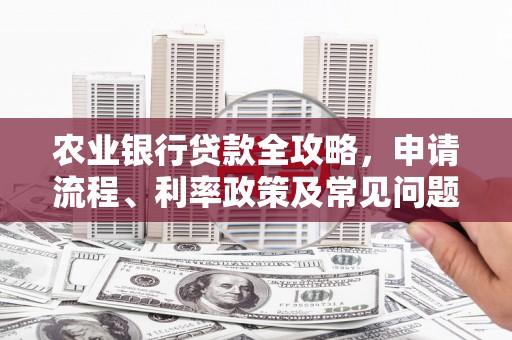 黄石港农业银行贷款全攻略，申请流程、利率政策及常见问题解析