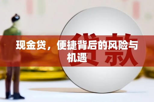 黄石港现金贷，便捷背后的风险与机遇