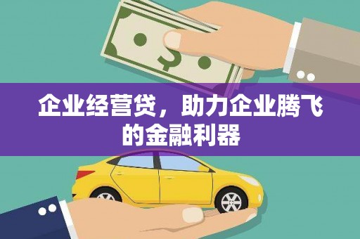 黄石港企业经营贷，助力企业腾飞的金融利器