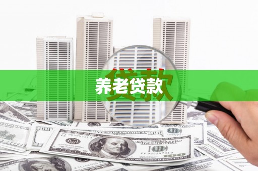 黄石港养老贷款