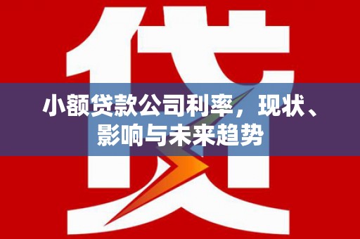 黄石港小额贷款公司利率，现状、影响与未来趋势