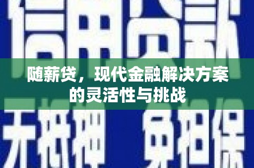 黄石港随薪贷，现代金融解决方案的灵活性与挑战