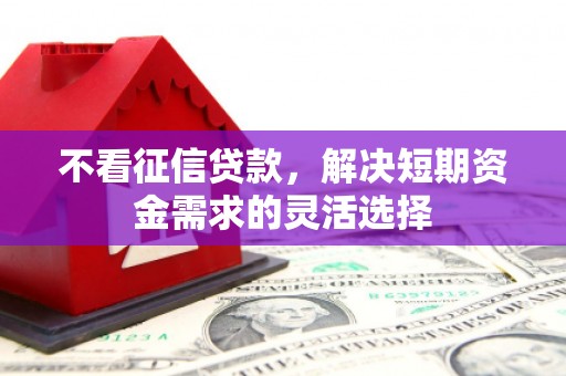 黄石港不看征信贷款，解决短期资金需求的灵活选择