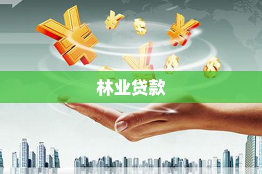 黄石港林业贷款