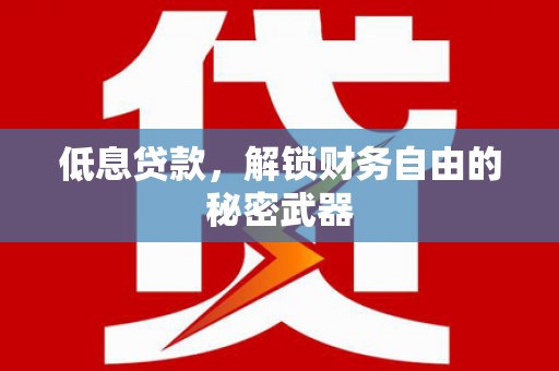 黄石港低息贷款，解锁财务自由的秘密武器