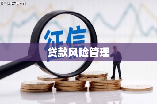 黄石港贷款风险管理