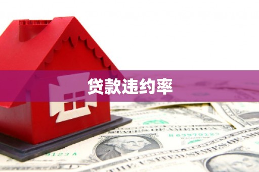 黄石港贷款违约率