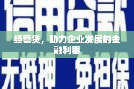 黄石港经营贷，助力企业发展的金融利器