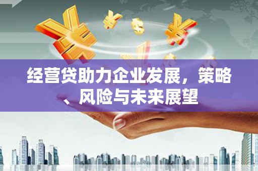 黄石港经营贷助力企业发展，策略、风险与未来展望
