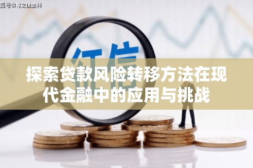 黄石港探索贷款风险转移方法在现代金融中的应用与挑战
