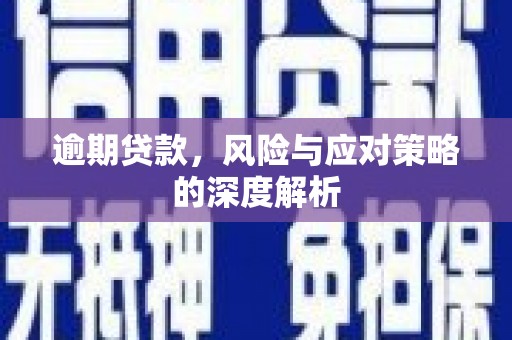 黄石港逾期贷款，风险与应对策略的深度解析