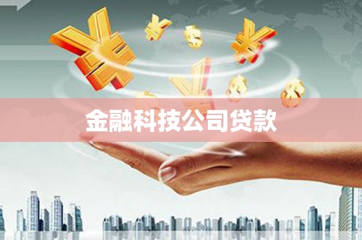 黄石港金融科技公司贷款