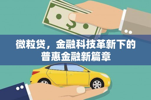 黄石港微粒贷，金融科技革新下的普惠金融新篇章