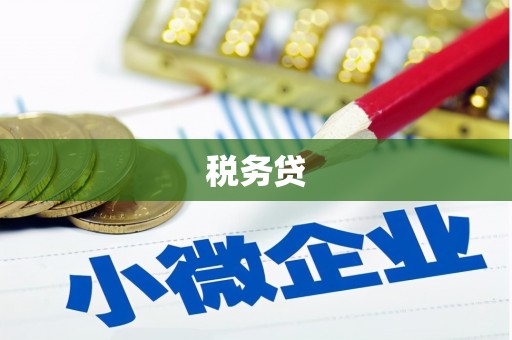 黄石港税务贷