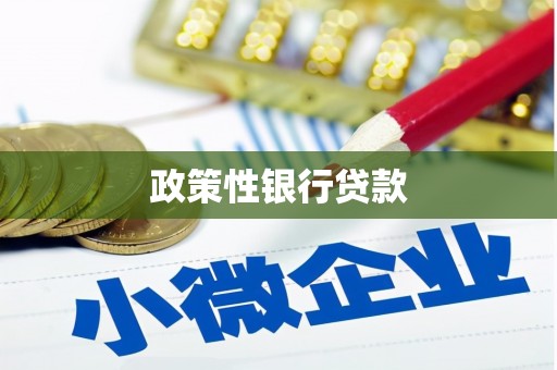 黄石港政策性银行贷款