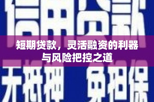 黄石港短期贷款，灵活融资的利器与风险把控之道