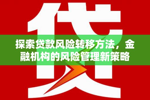 黄石港探索贷款风险转移方法，金融机构的风险管理新策略