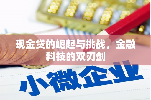 黄石港现金贷的崛起与挑战，金融科技的双刃剑