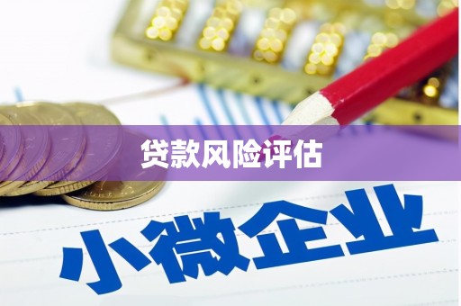 黄石港贷款风险评估