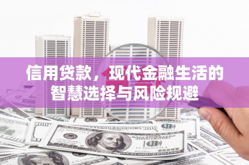 黄石港信用贷款，现代金融生活的智慧选择与风险规避
