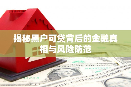 黄石港揭秘黑户可贷背后的金融真相与风险防范