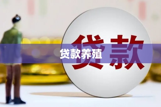 黄石港贷款养殖