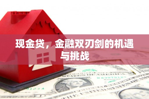 黄石港现金贷，金融双刃剑的机遇与挑战