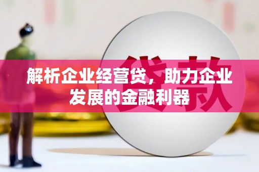 黄石港解析企业经营贷，助力企业发展的金融利器