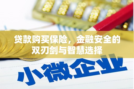 黄石港贷款购买保险，金融安全的双刃剑与智慧选择