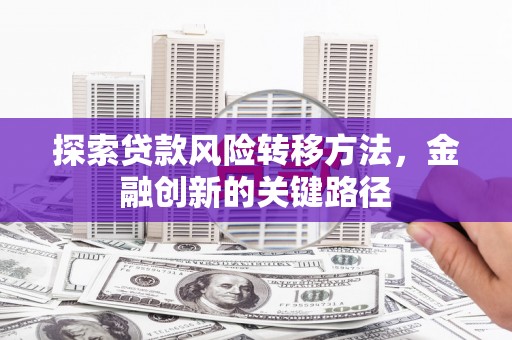 黄石港探索贷款风险转移方法，金融创新的关键路径