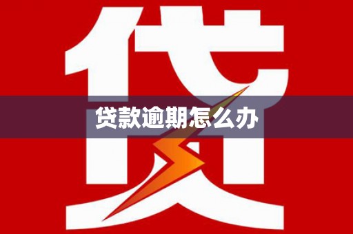 黄石港贷款逾期怎么办