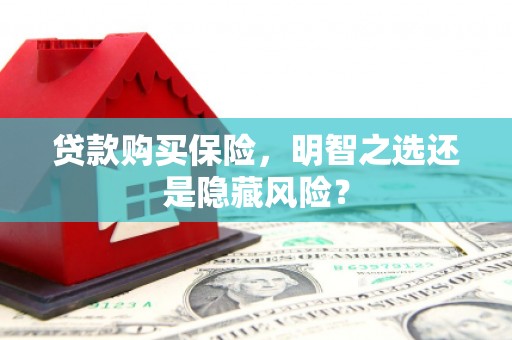 黄石港贷款购买保险，明智之选还是隐藏风险？