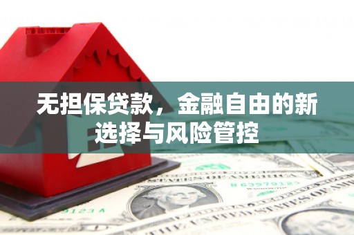黄石港无担保贷款，金融自由的新选择与风险管控