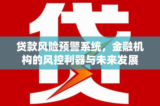 黄石港贷款风险预警系统，金融机构的风控利器与未来发展