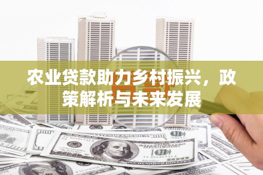 黄石港农业贷款助力乡村振兴，政策解析与未来发展