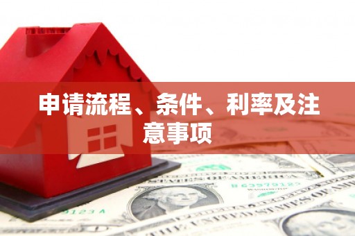 黄石港申请流程、条件、利率及注意事项