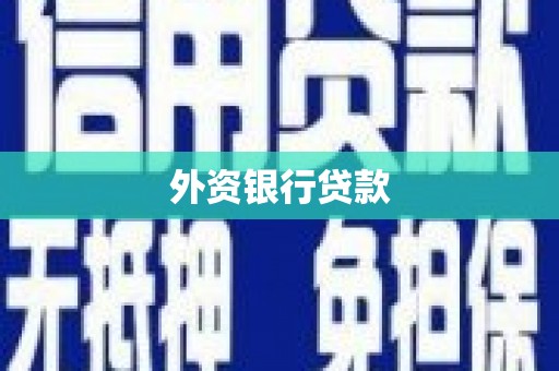 黄石港外资银行贷款