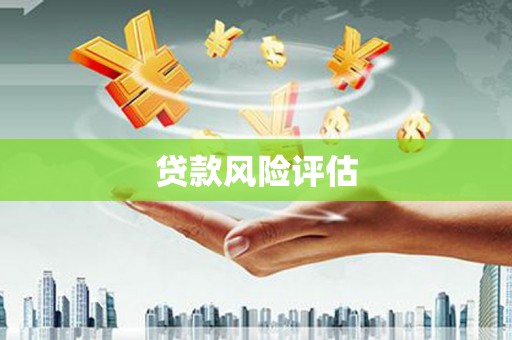 黄石港贷款风险评估