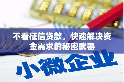 黄石港不看征信贷款，快速解决资金需求的秘密武器