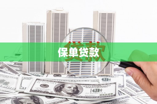 黄石港保单贷款