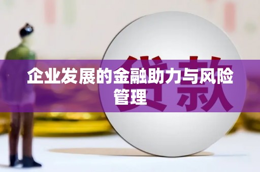 黄石港企业发展的金融助力与风险管理