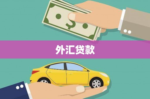 黄石港外汇贷款