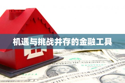 黄石港机遇与挑战并存的金融工具
