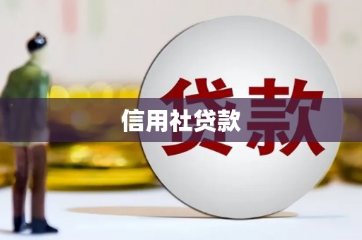 黄石港信用社贷款
